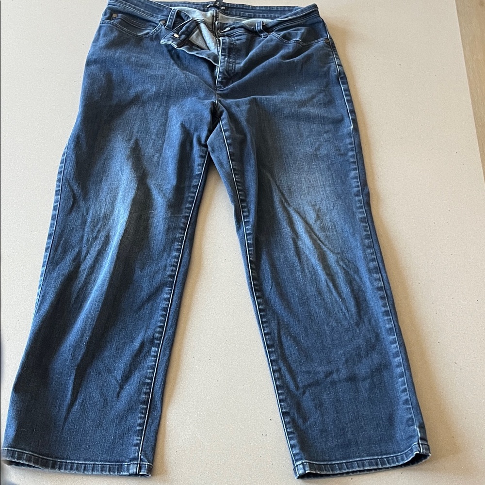 Eileen Fisher Women's 12 Relaxed Fit Blue Jeans
